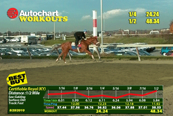 Autochart-Generic-Workout-TV-comp-1-350