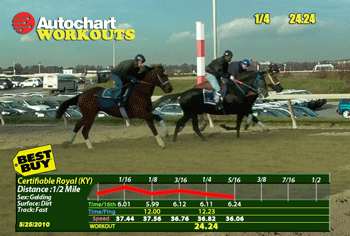 Autochart-Workout-TV-comp-2-350