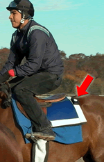 fly_montage_on_horse3_150